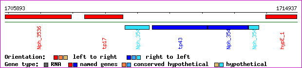 gene map