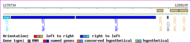 gene map