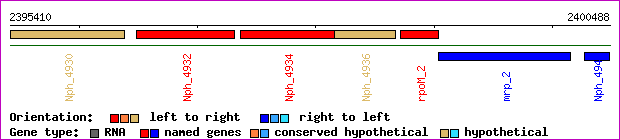 gene map