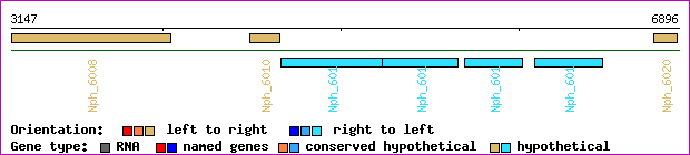 gene map