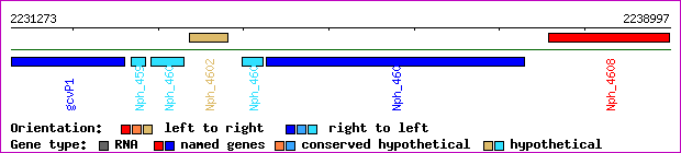 gene map