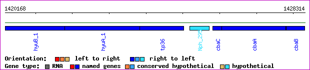 gene map
