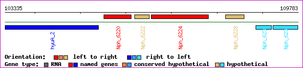 gene map