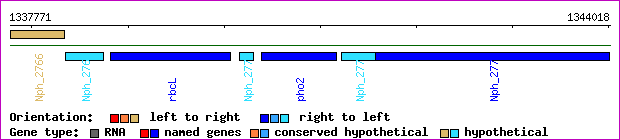 gene map