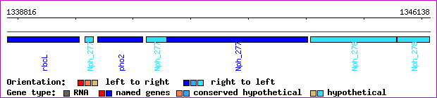 gene map