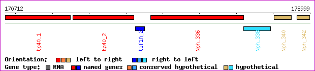 gene map