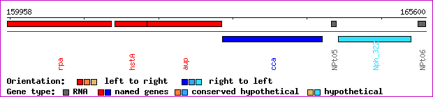 gene map