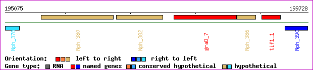 gene map