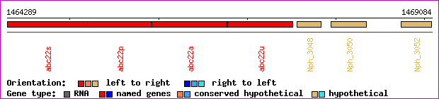 gene map