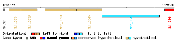 gene map