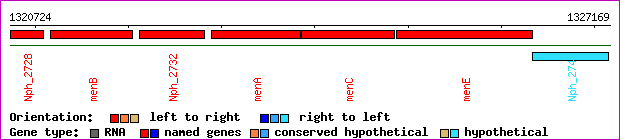 gene map