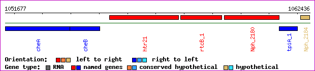 gene map