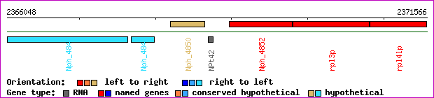 gene map