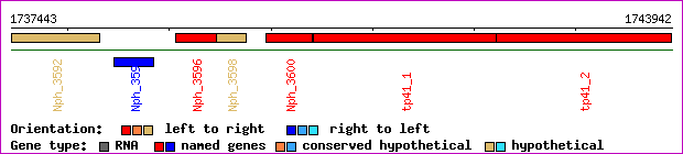 gene map