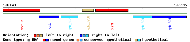 gene map
