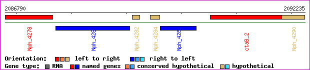 gene map