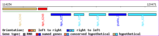gene map
