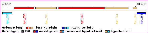 gene map