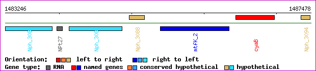 gene map