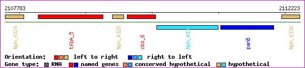 gene map
