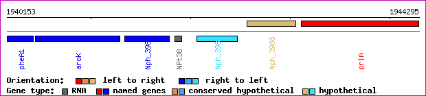 gene map