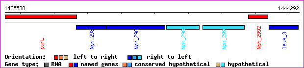 gene map