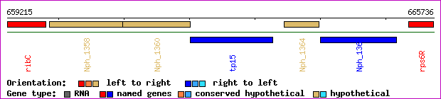 gene map