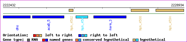 gene map