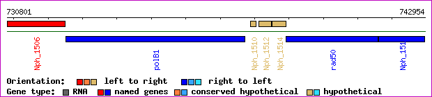 gene map