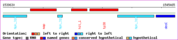 gene map