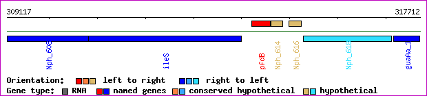 gene map