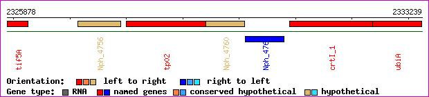 gene map