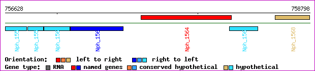 gene map
