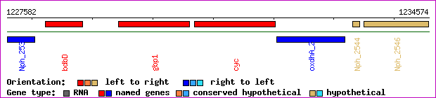 gene map