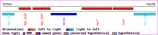 gene map