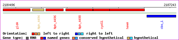 gene map