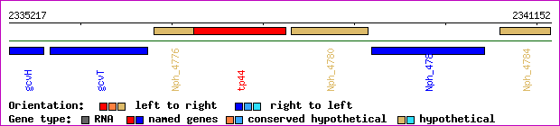 gene map