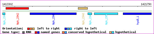 gene map