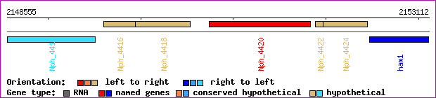 gene map