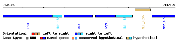 gene map