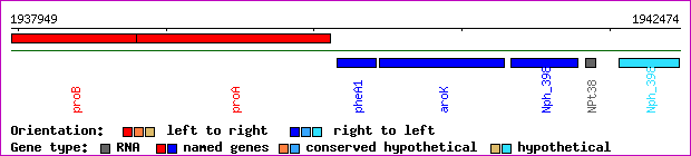 gene map