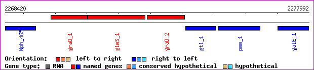 gene map