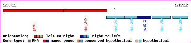 gene map
