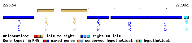 gene map