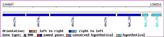gene map