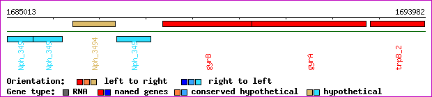 gene map