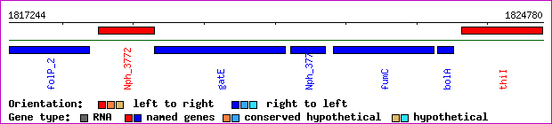 gene map