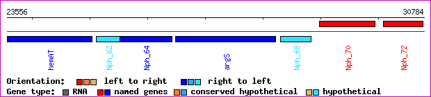 gene map
