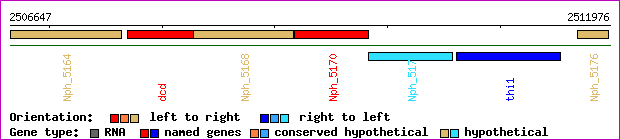 gene map