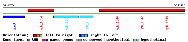 gene map